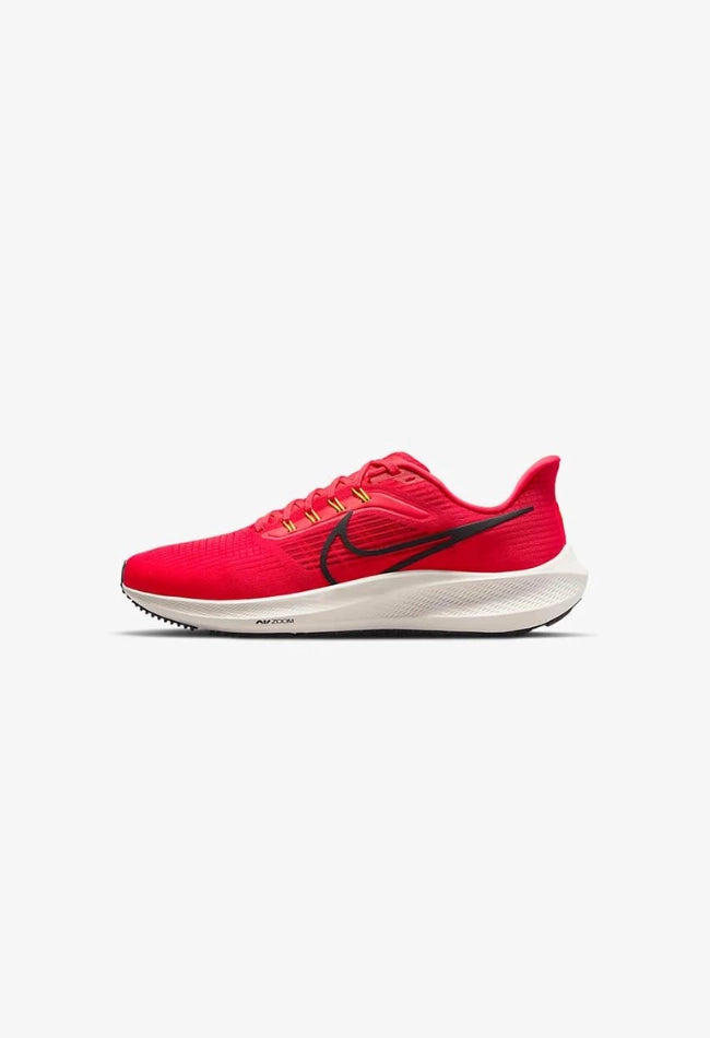 Nike 2025 pegasus 13