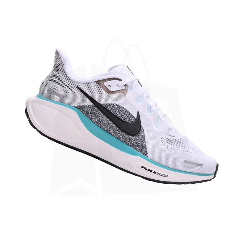 NK Pegasus 41