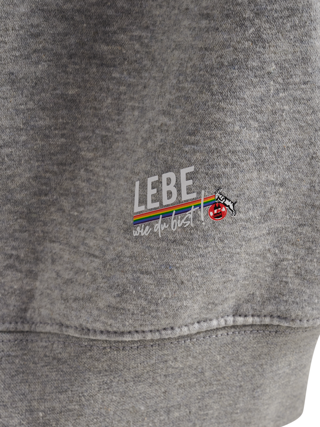 LEBE SWEAT HOODIE (Denmark)