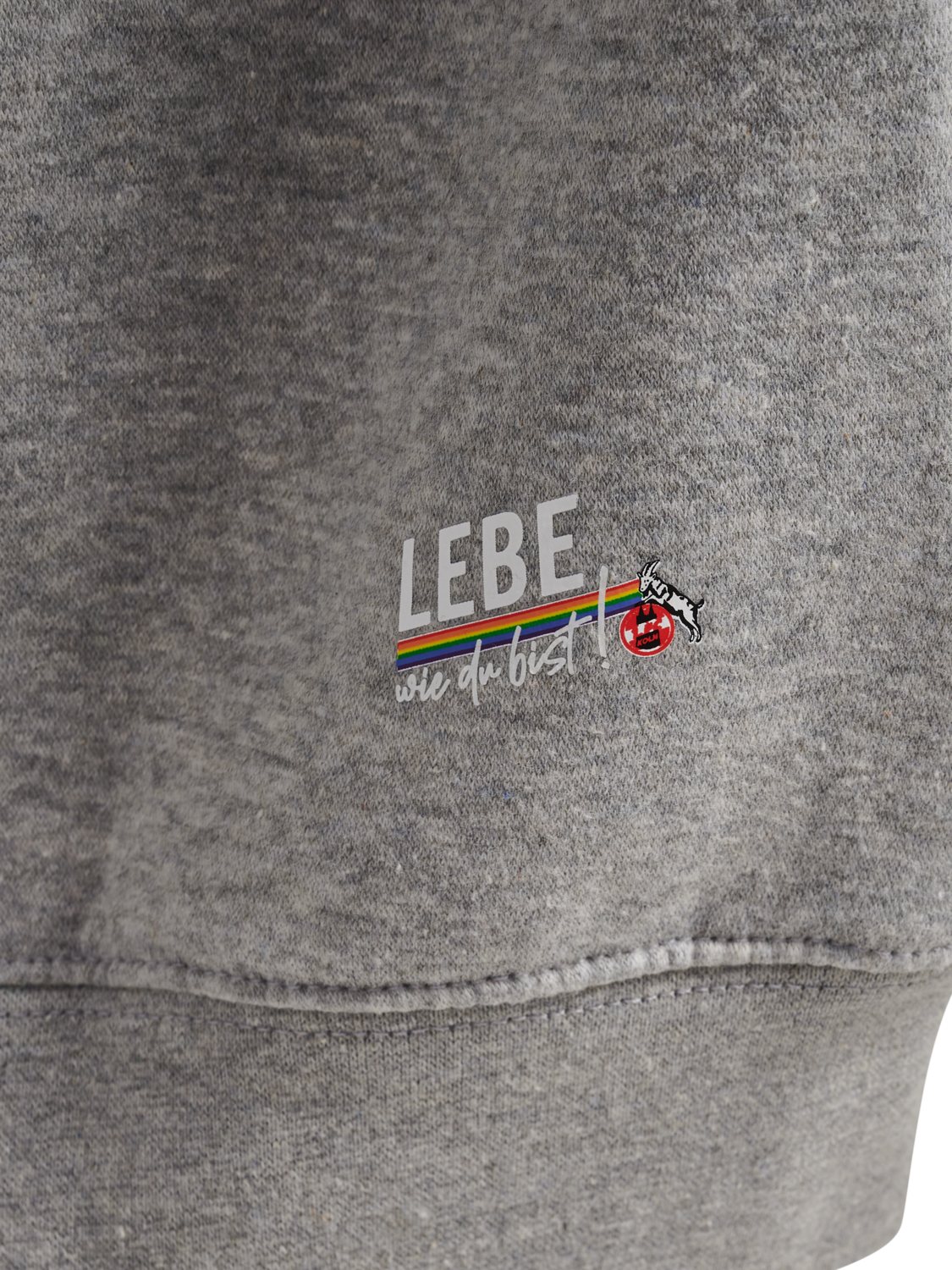 LEBE SWEAT HOODIE (Denmark)
