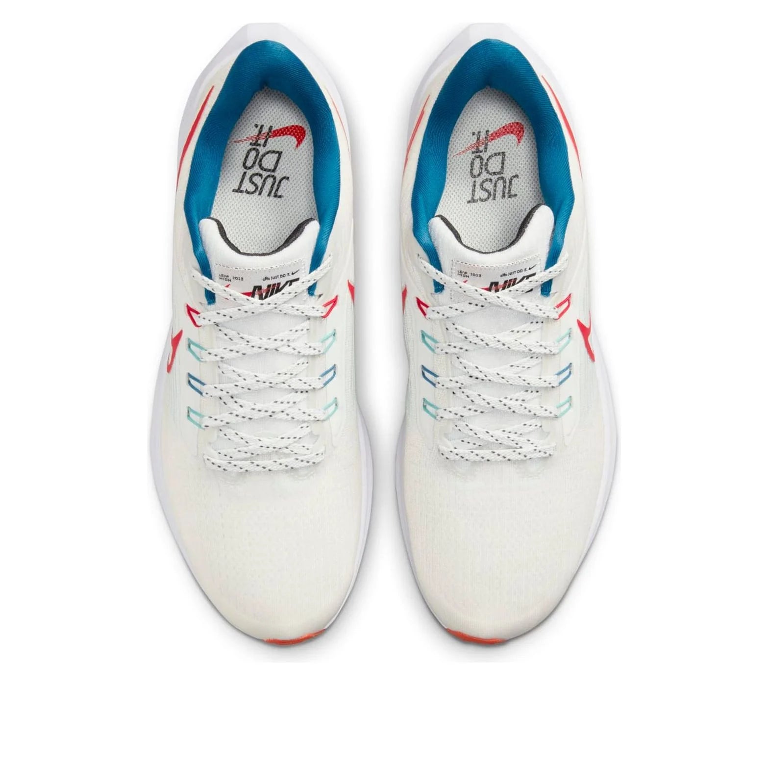 Nike Air Zoom Pegasus 39