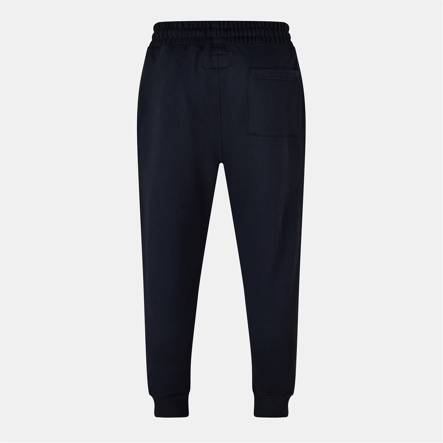 Haydor Logo Joggers Mens