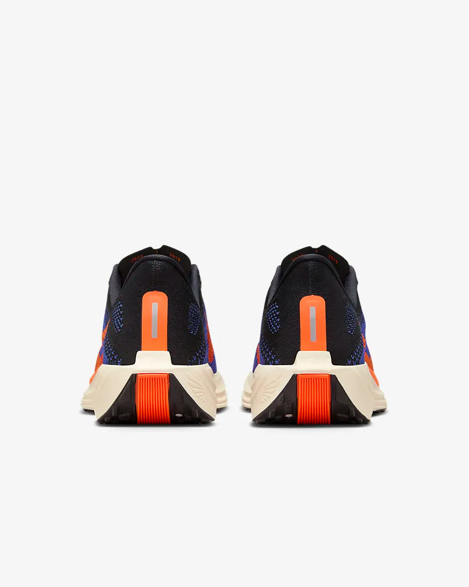 Nike Pegasus Plus