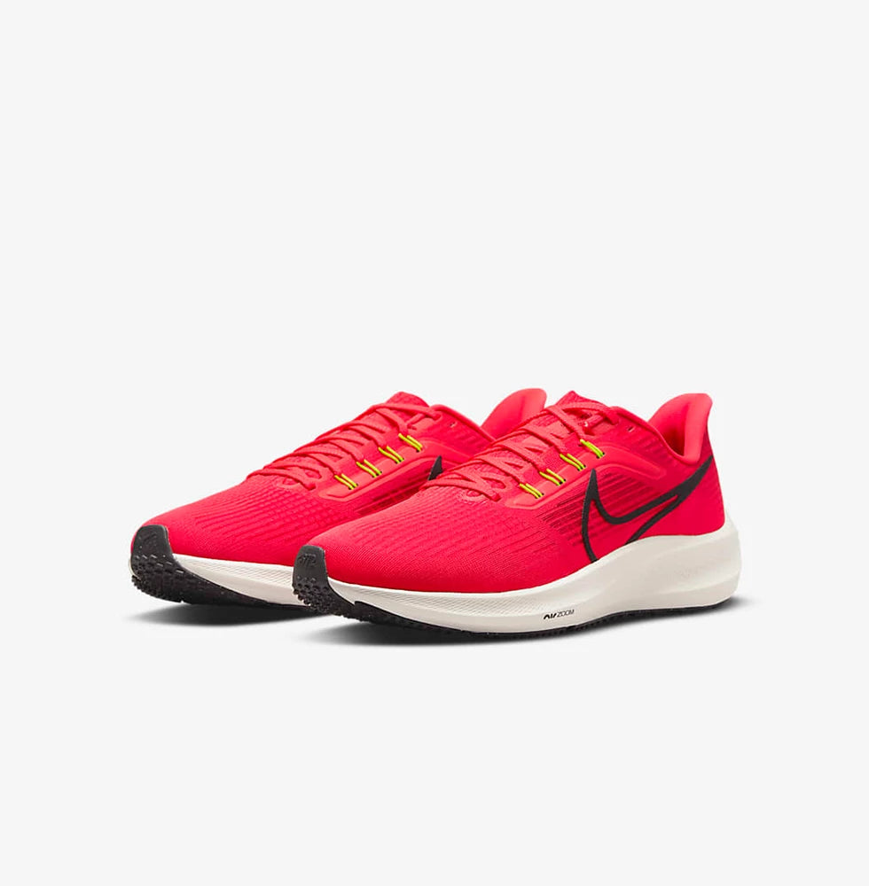 Nike Pegasus 39